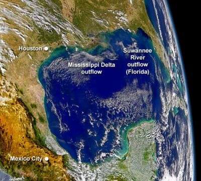 Dans le golfe du Mexique (vu ici en 2004), l'image satellite met bien évidence la prolifération des algues planctoniques (traînées vertes) sur de vastes surfaces, provoquée par le rejet d'éléments nutritifs par l'activité humaine. © SeaWiFS Project, Nasa Goddard et Orbimage