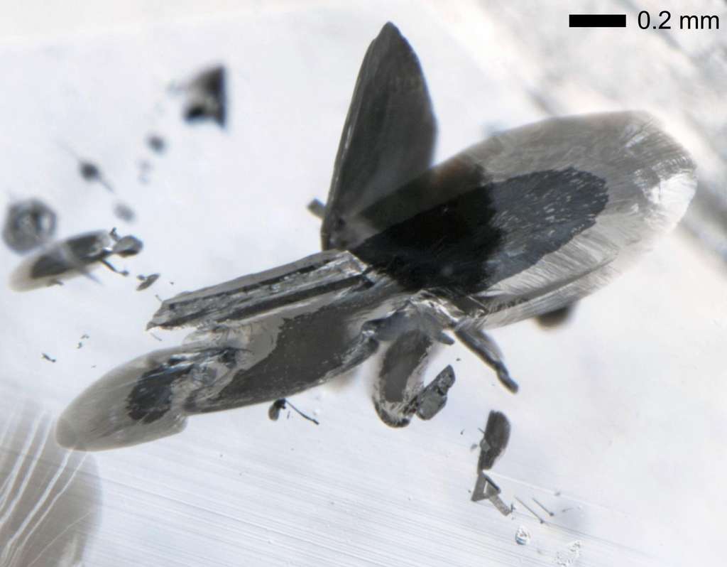 Un exemple des inclusions métalliques trouvées dans les diamants superprofonds. © Evan Smith