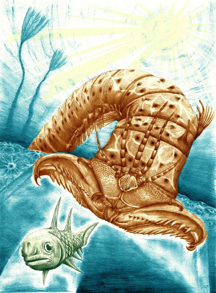 Reconstitution artistique de ce que pouvait être ce ver géant du Dévonien. Surgissant de son abri creusé dans le sable, il agrippait ses proies avec des mâchoires puissantes. © James Ormiston