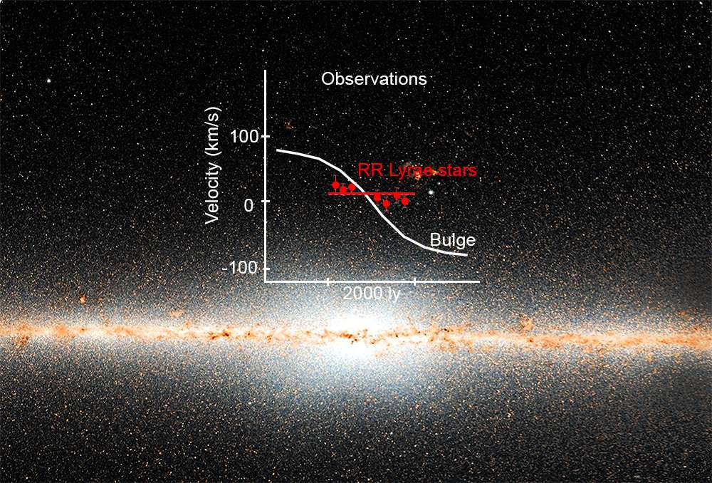 Le disque de notre galaxie est bien visible dans l'infrarouge avec cette image du satellite Wise. La majorité des étoiles du bulbe central se comportent comme un bloc cylindrique en rotation. Cependant, une population d'étoiles plus anciennes, sous forme de RR Lyrae, ne se comporte pas de la même façon dans la partie centrale du bulbe de la Voie lactée. Cette population, constituant 1 % de la masse du bulbe, est susceptible d'avoir été l'une des premières parties de notre galaxie. © NOAO/AURA/NSF/AIP/A. Kunder
