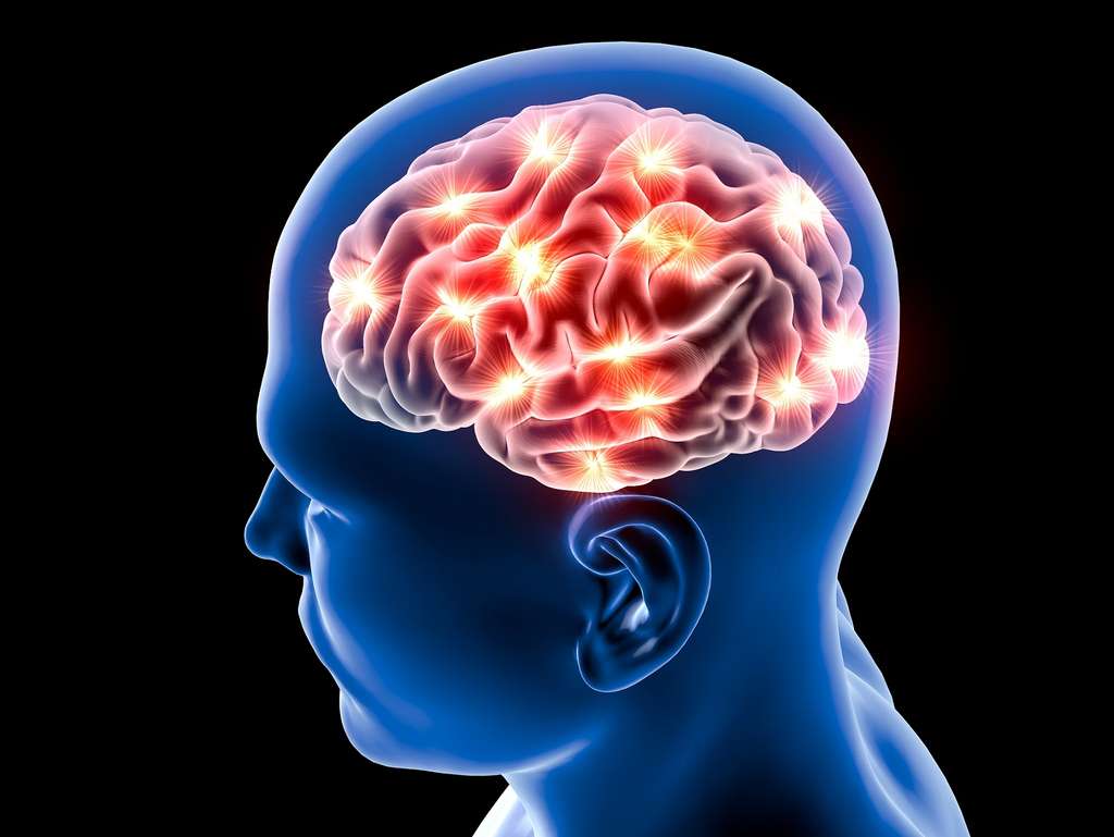 Traumatic brain injury resource guide   frontal lobes