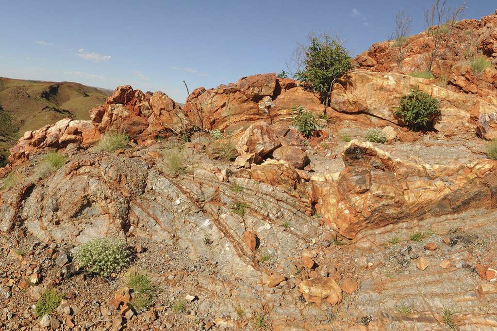 Les roches où se cachent peut-être les plus anciennes traces de vie sur les continents émergés. Elles se trouvent à Pilbara en Australie. © Kathy Campbell, University of New South Wales