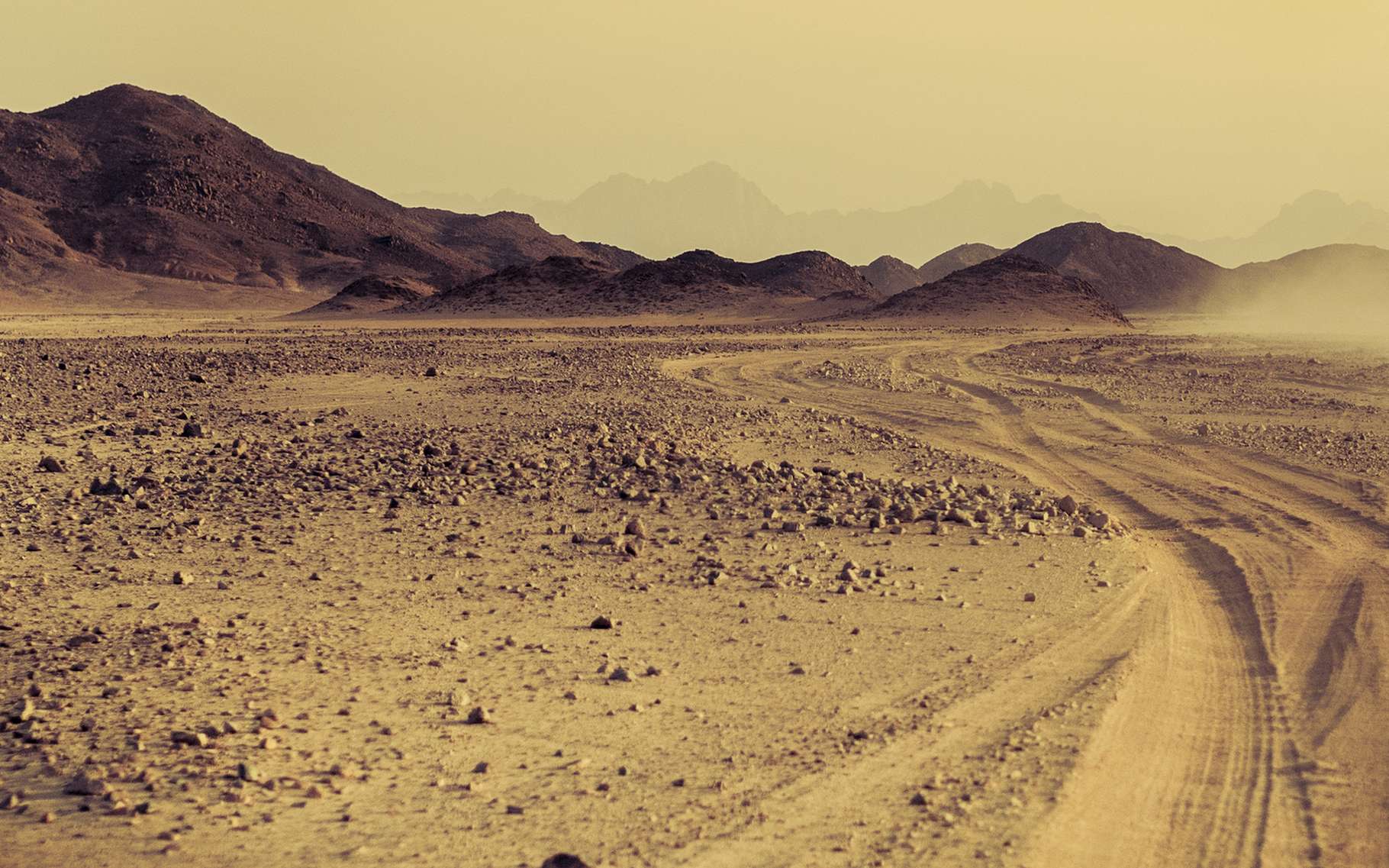 desert - Image