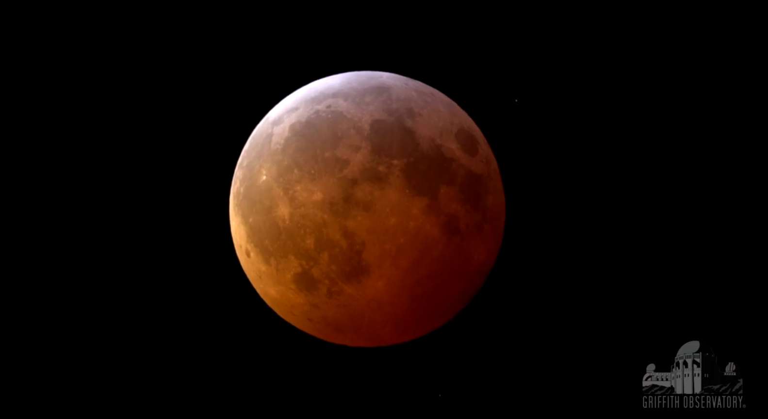 Revivez l'éclipse totale de Lune du 21 janvier en vidéo
