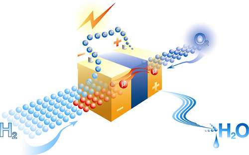 Operating diagram of a fuel cell. The molecular hydrogen produced during photosynthesis could be used as the main fuel. A fuel cell provides current from hydrogen and air. The only waste generated is water. © Axane.fr