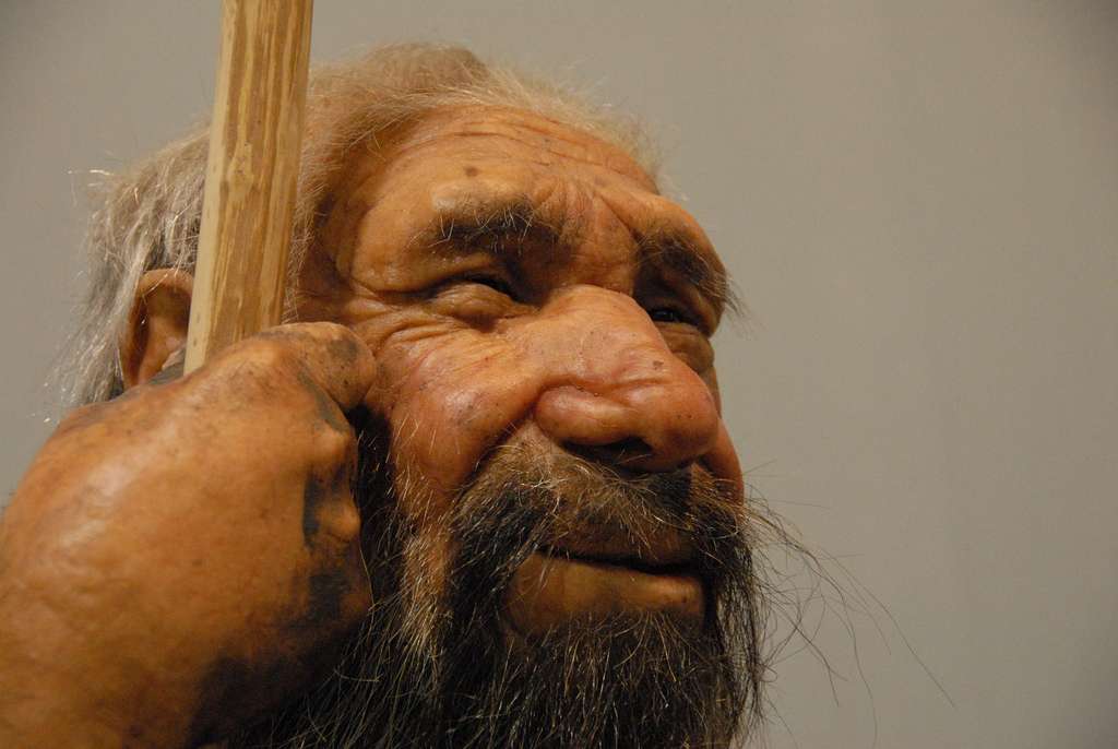 Les Néandertaliens étaient habiles de leurs doigts (vidéo) By Jack35 A3a92e7193_49989_homme-neandertal-gianfranco-goria-flickr-cc-nc-nd-20