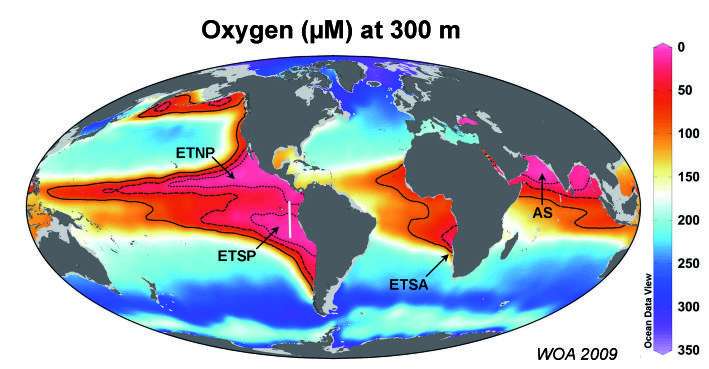 Oceanic zones of minimum oxygen (at the level of the arrows).  The color bar indicates dissolved oxygen concentrations in μM, or 10-6 mol / L (mole per liter), at a depth of 300 m.  About 30-50% of nitrogen losses occur in these areas, which account for only 0.1% of ocean volume.  © World Ocean Atlas 2009