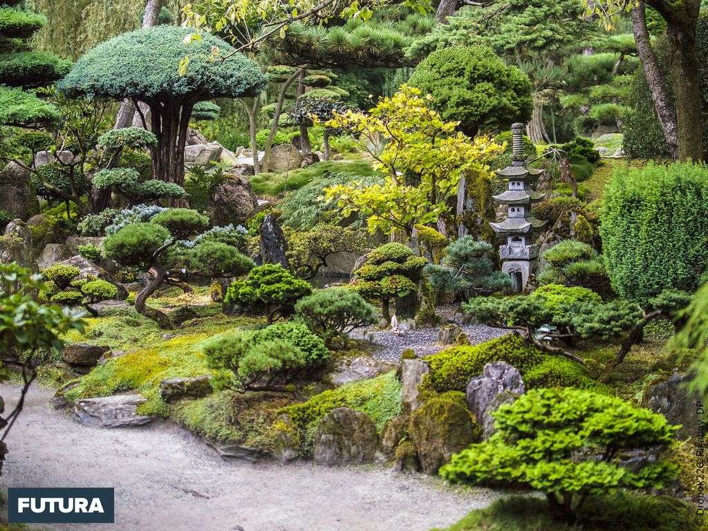 Au Japon, lâamÃ©nagement de jardins est un art important et respectÃ©