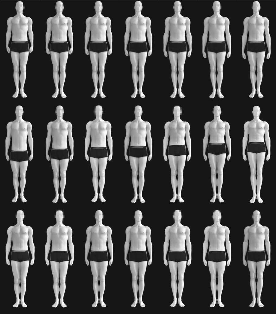 Les diffÃ©rents silhouettes montrent des ratios plus ou moins grands pour la longueur des bras (premiÃ¨re ligne), des jambes (deuxiÃ¨me ligne) ou des proportions de chaque membre (troisiÃ¨me ligne). Le ratio va par ordre croissant, la silhouette du milieu reprÃ©sentant la stature moyenne. Â© Thomas Versluys et al, Royal Society Open Science, 2018