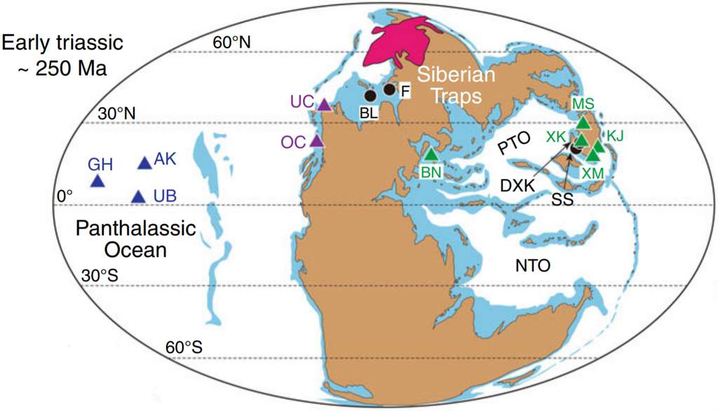 Carte du monde au commencement du Trias (250 millions d'années), peu après la crise permienne (252 millions d'années). Les trapps de Sibérie figurent en rose, au nord de la Pangée à l'époque. Les triangles bleus, mauves et verts représentent les dix sites échantillonnés pour cette étude. Les différentes couleurs indiquent qu'ils proviennent de milieux ou de lieux géographiques différents, le bleu étant utilisé par exemple pour les sédiments issus des profondeurs abyssales de l'océan global Panthalassa entourant le supercontinent. Les points noirs marquent des sites analysés dans des recherches antérieures. Le pic de mercure aux environs de la limite Permien-Trias est observé pour tous ces sites. © Jun Shen et al., Nature Communications, 2019
