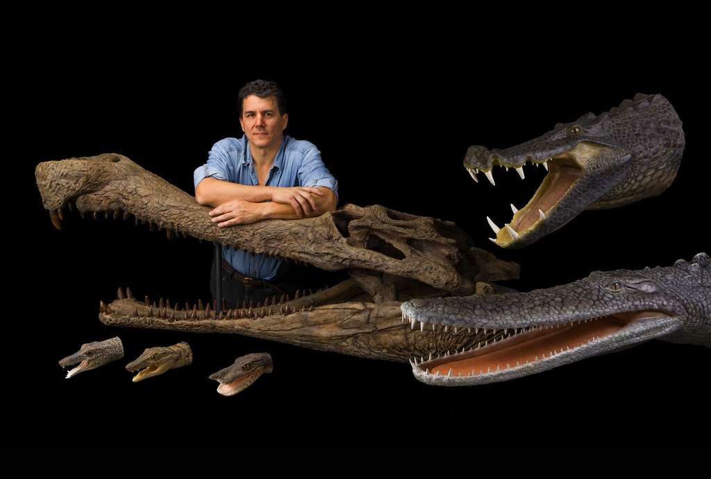 Dix faits insolites sur les dinosaures ! By Futura-Sciences 39c6f12fe4_50080037_crocodiles-fossiles-sereno-mike-hettwer-national-geographicjpg