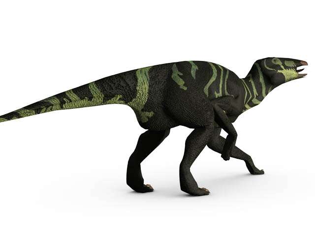 Dix faits insolites sur les dinosaures ! By Futura-Sciences 3c131575a3_50080035_edmontasaurus