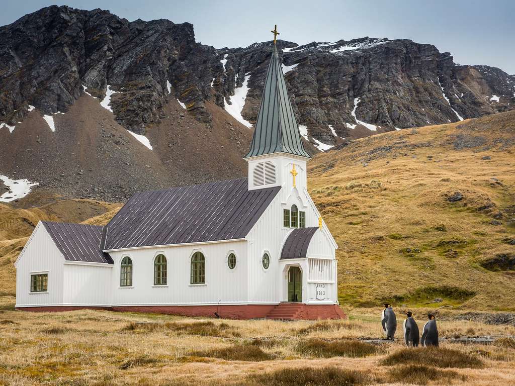 Trois manchots en route pour l’église de Grytviken. © Carl Henry, Comedy Wildlife Photography Awards