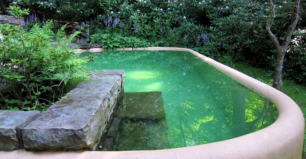 filtre piscine nature 2