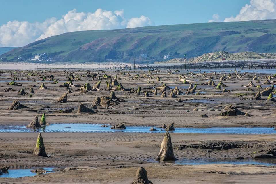 La forêt fossilisée couvre la plage entre les villages de Borth et d’Ynyslas. © Welsh photographs, Facebook