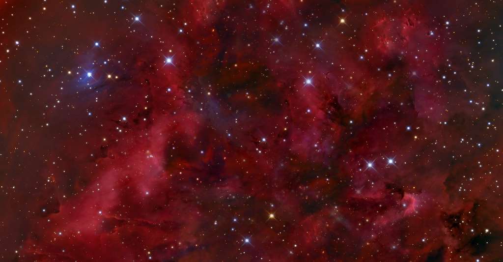 Les étoiles les plus bleues vivent le moins longtemps. C’est pourquoi les galaxies qui ont cessé de former des étoiles apparaissent plus rouges. © spirit111, Fotolia