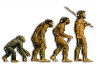 Descendons nous des singes ? Confrontation avec la pensée de Maria Valtorta - Page 2 5b747a7c1f_50063922_3948-modele-evolution-homme