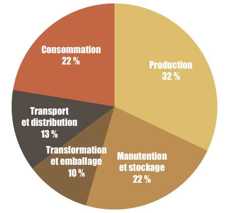 La majeure partie du gaspillage alimentaire intervient en aval et en amont de la chaîne alimentaire. C.D, Futura, d’après BCG