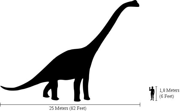 Dix faits insolites sur les dinosaures ! By Futura-Sciences 6d01c7ba56_50080036_human-brachiosaurus-marmelad-attrobution-sharealike-svg