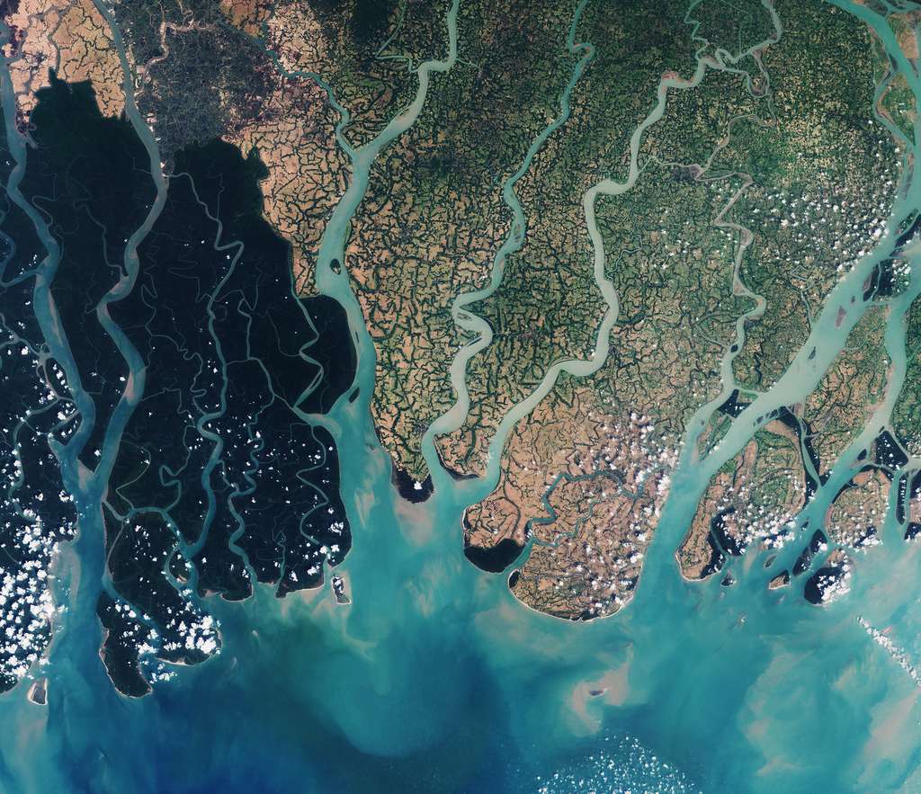 La forêt de mangrove des Sundarbans se déploie à cheval entre l'Inde et le Bangladesh. C'est la région du delta du Gange. © Contient des données modifiées de Copernicus Sentinel (2016), traitées par ESA, CC By-SA 3.0 IGO