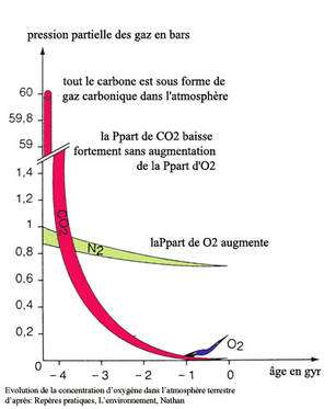 Graph of the ancient terrestrial atmosphere: evolution of the concentration of oxygen, from -4 billion years to our era. © DR, from Practical cues, Nathan