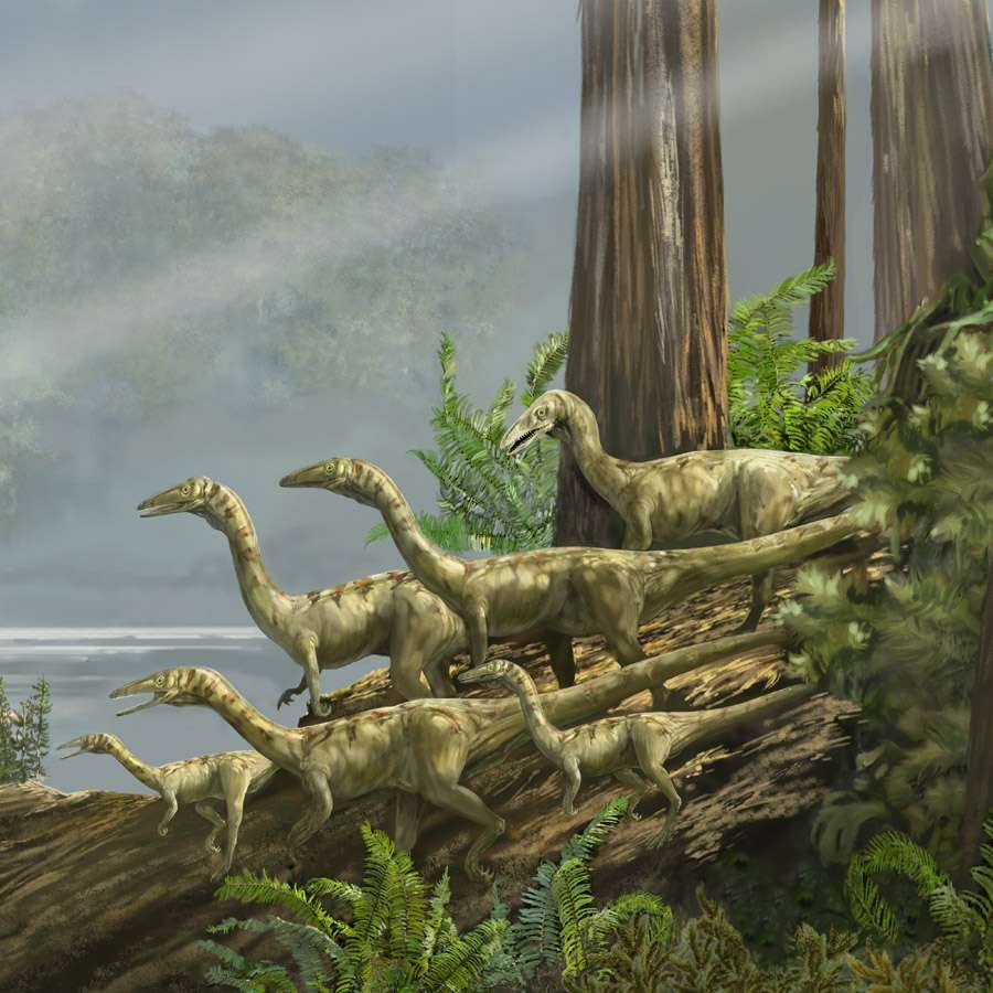 Dix faits insolites sur les dinosaures ! By Futura-Sciences 822e473673_50080038_karen-carr-sam-noble-coelophysis-detail