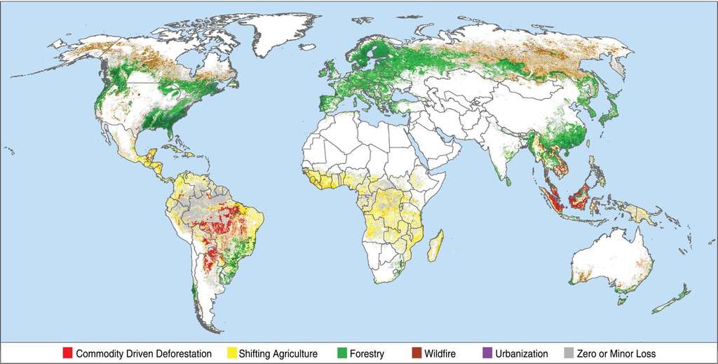 L’essentiel de la déforestation « non durable » (en rouge) est constaté au Brésil et en Asie du Sud-Est. L’exploitation forestière (en vert) est prédominante en Europe et en Amérique du Nord. © Philip G. Curtis et al., Science, Sep 2018.