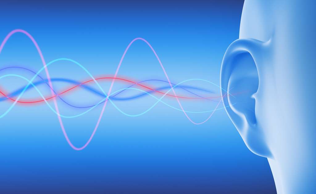 Les voix graves émettent des sons de fréquence plus basse que les voix aiguës. © peterschreiber.media, Fotolia