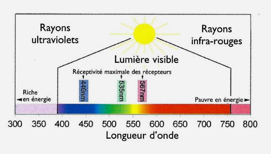Question : Quelle couleur absorbe le plus de lumière solaire ?