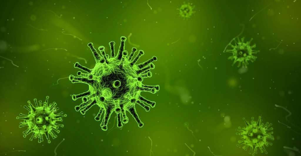 Les cellules T tueuses constituent-elles la clÃ© de la lutte contre la grippeâ??? Â© qimono, Pixabay, CC0 Creative Commons