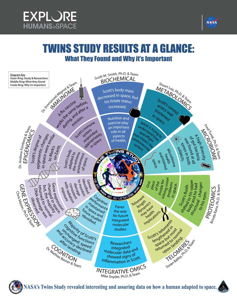 En anglais, graphique résumant ce que les chercheurs ont appris et découverts dans le cadre de The Twins Study. © Nasa
