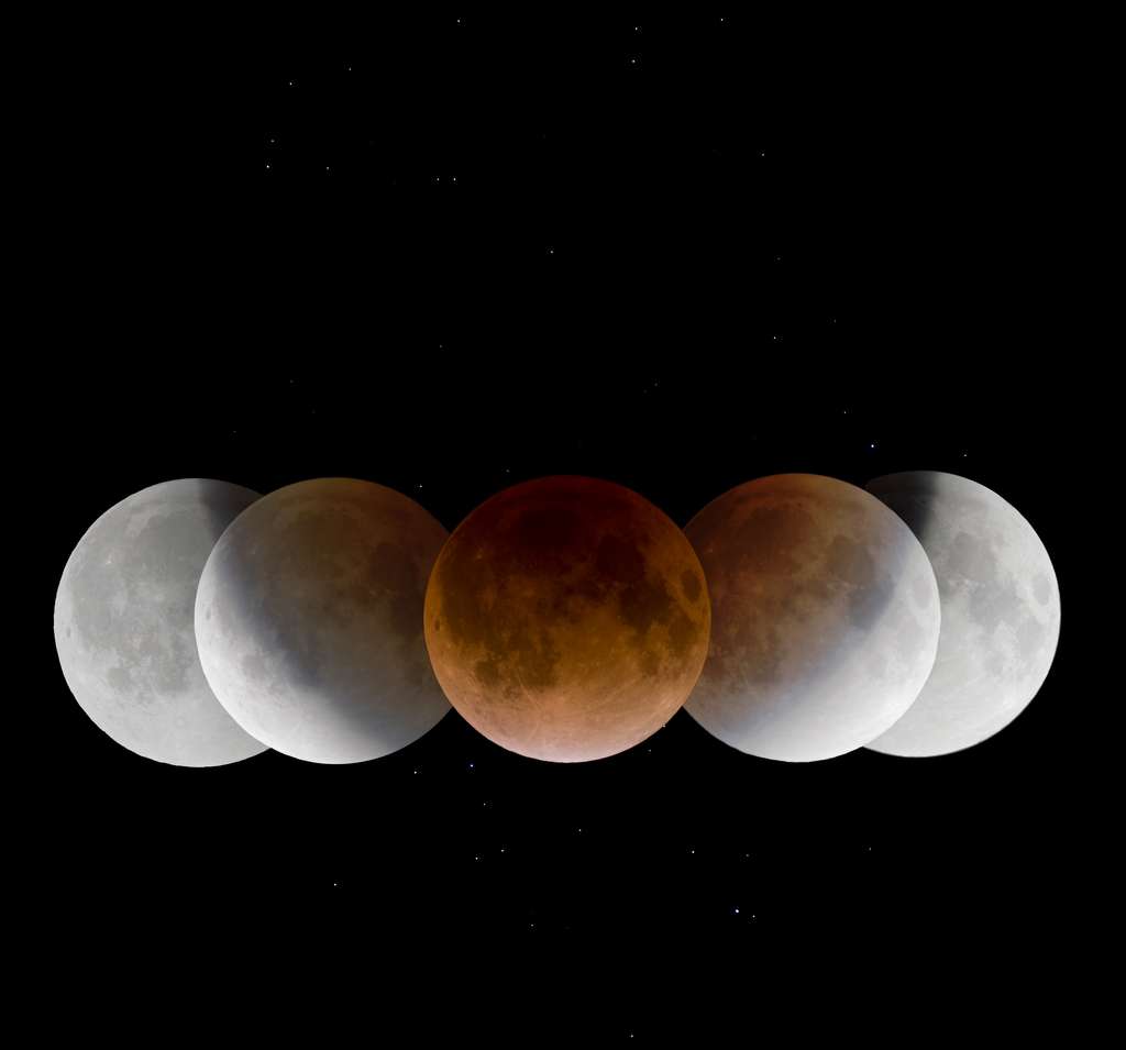 Photo composite de l'éclipse de Lune de décembre 2015. © Wang, Letian, APOD