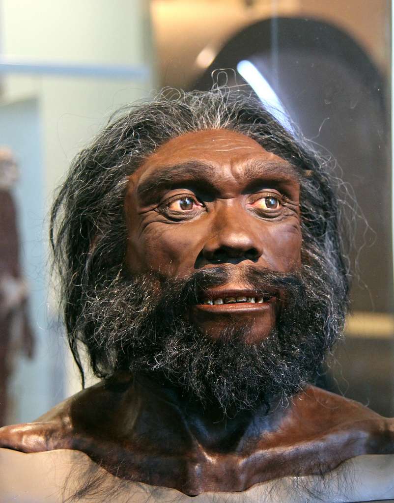 L'Homme de Denisova a-t-il fauté avec Homo heidelbergensis durant sa migration ? Ou était-ce avec une espèce encore inconnue des scientifiques ? © Tim Evanson, Flickr, cc by sa 2.0