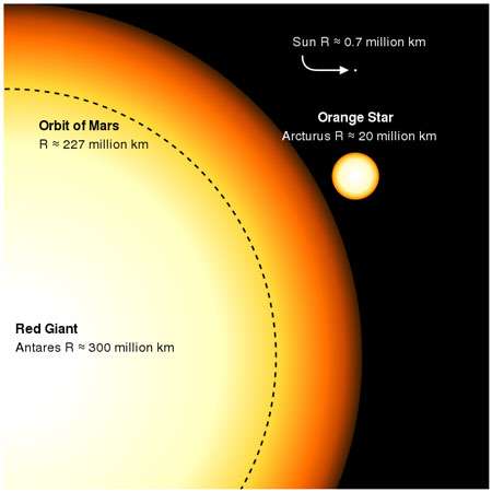 Tailles respectives du Soleil et de géantes rouges (ou oranges) © Wikipedia domaine public