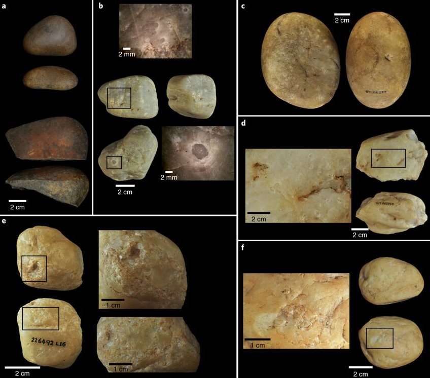 Exemples d’outils en pierre utilisés par les singes capucins du Brésil depuis 3.000 ans. © University College London