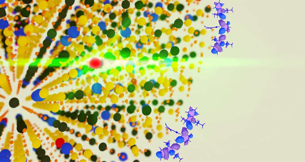 Un atome d’erbium (en rouge) émet une lumière verte visible via un processus de conversion ascendante. Les scientifiques ont découvert que le revêtement des particules avec des colorants (molécules bleues et violettes à droite) peut grandement améliorer cette propriété de conversion de la lumière. © Berkeley Lab
