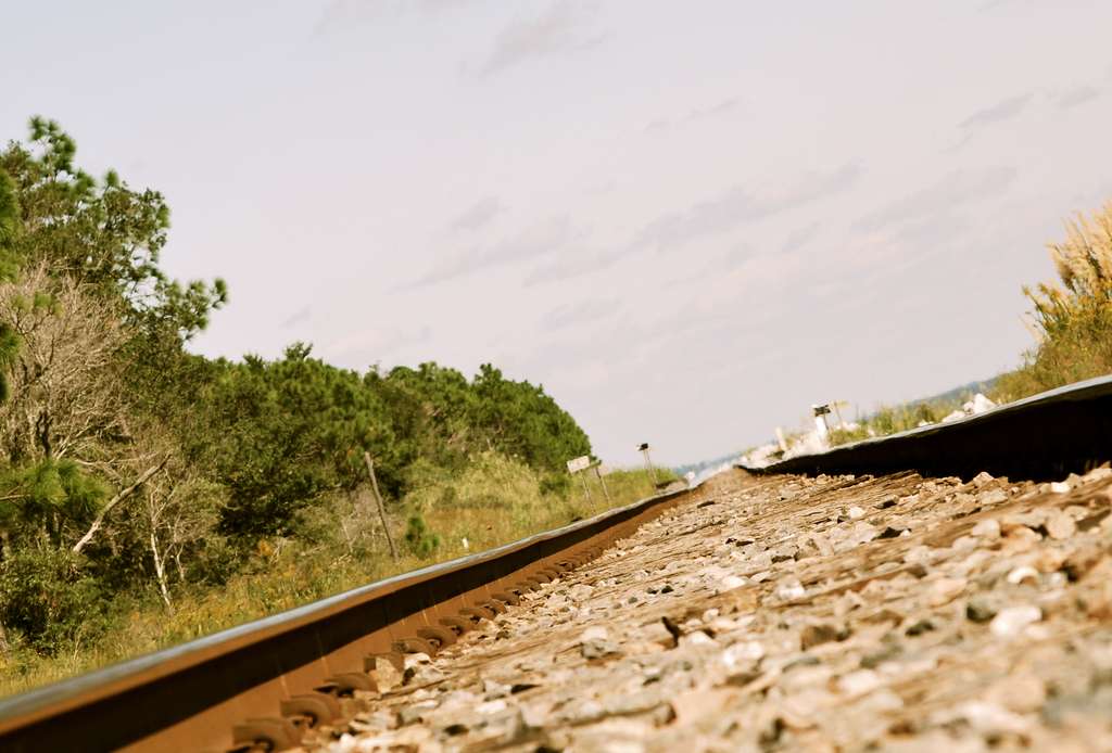 Lors des fortes chaleurs, les rails se dilatent et les trains doivent circuler à vitesse réduite. © Tara R, Flickr CC BY-NC-ND 2.0