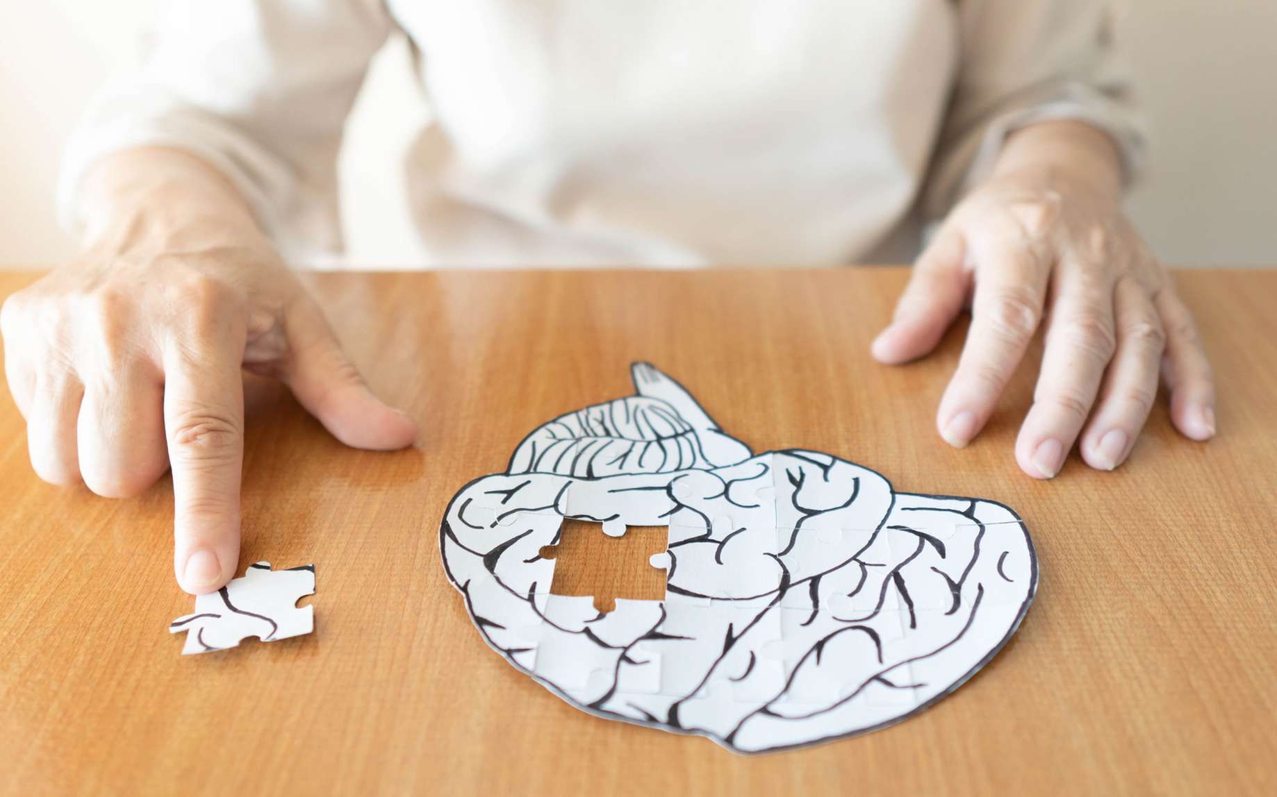 Alzheimer : une nouvelle théorie pour expliquer la maladie