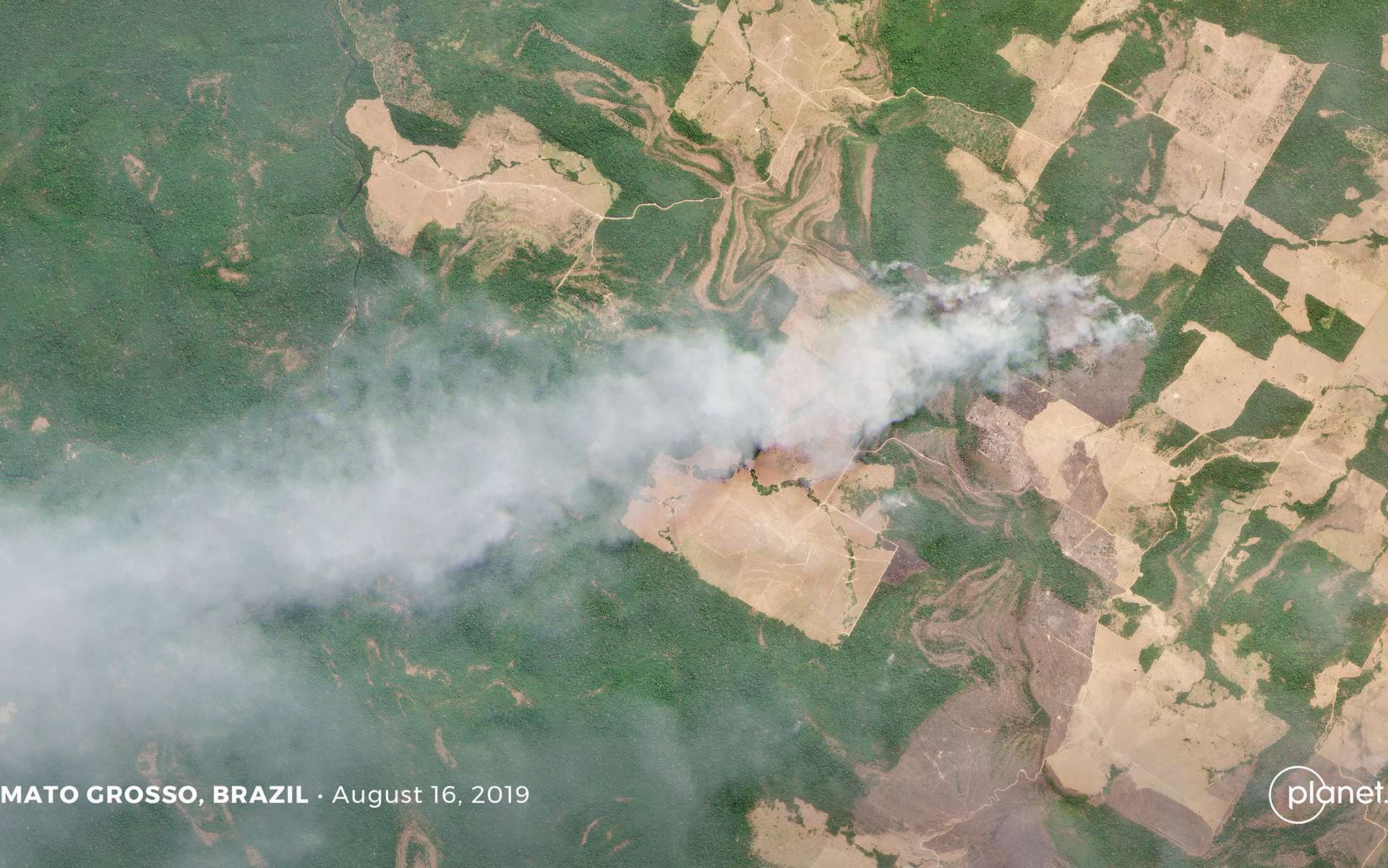 Les violents incendies en Amazonie se voient depuis l'espace