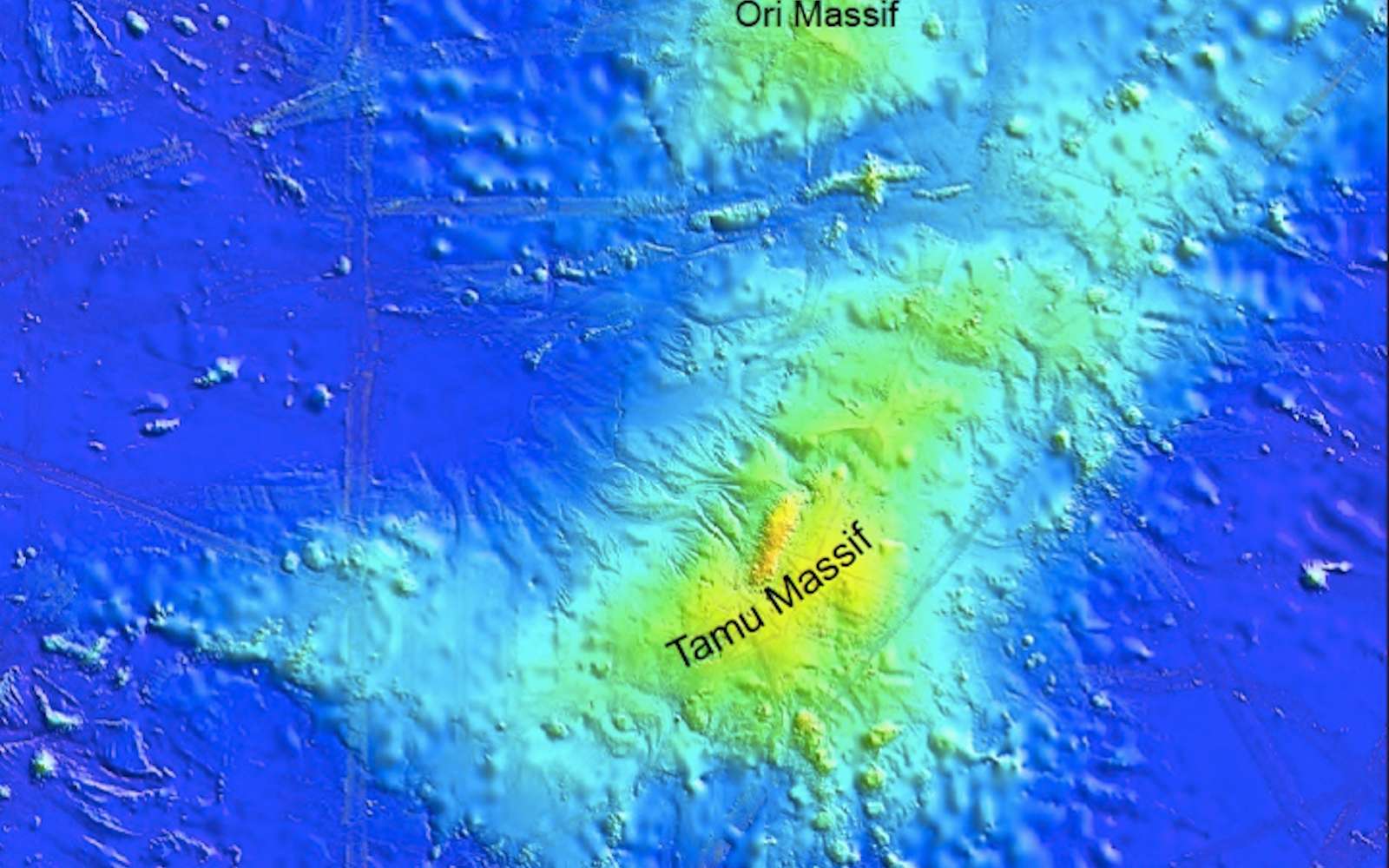 Massif Tamu : le plus grand volcan de la planète déchu de son titre