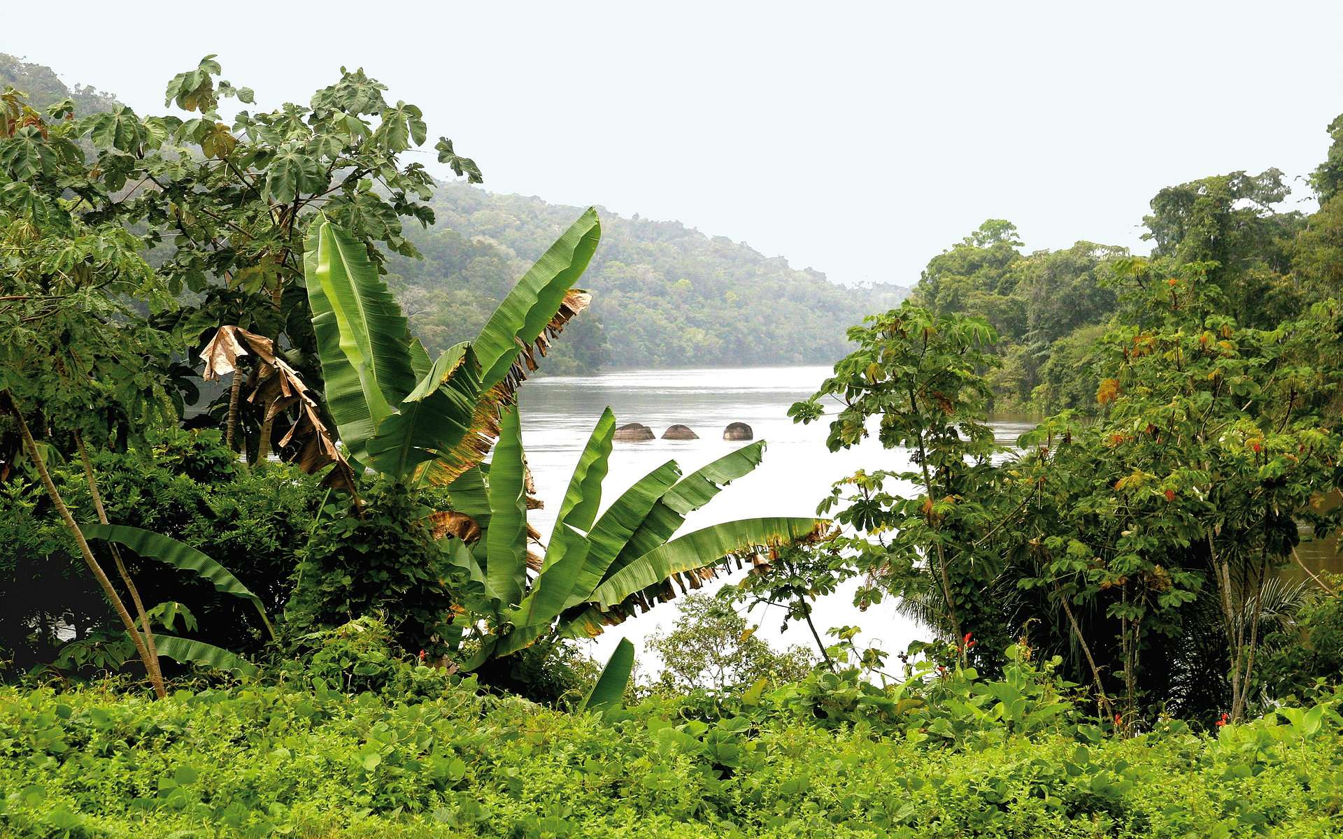 La plus grande batterie de stockage électrique du monde s'installe en Guyane