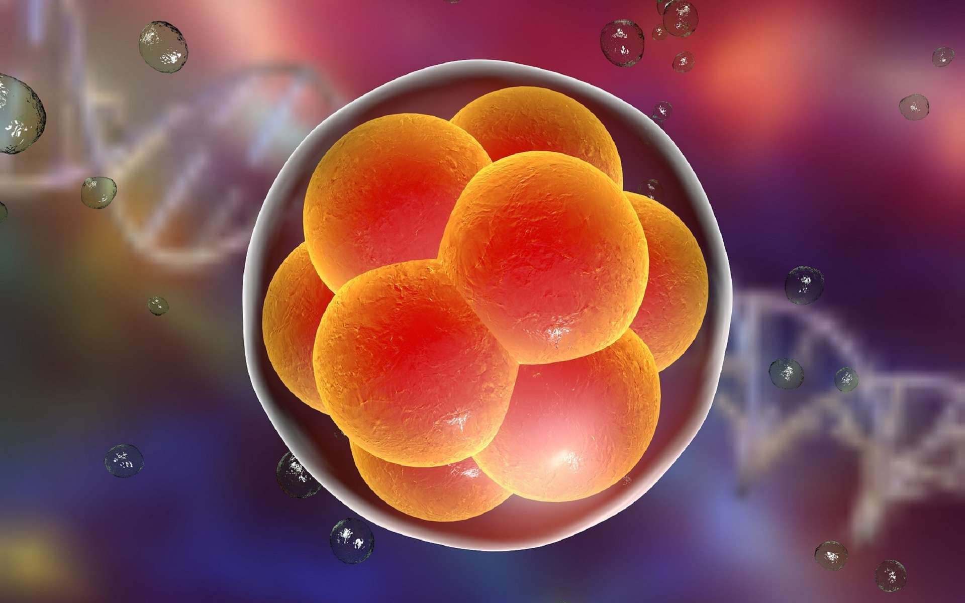 First U.S. team to gene-edit human embryos revealed