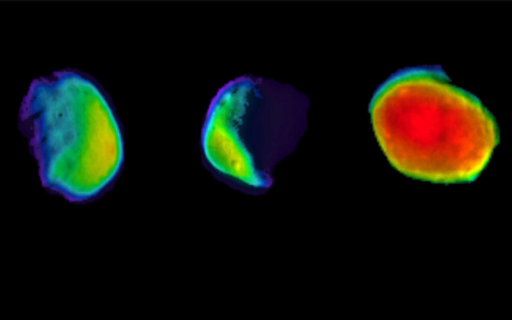 La lune de Mars Phobos sous « toutes les couleurs »