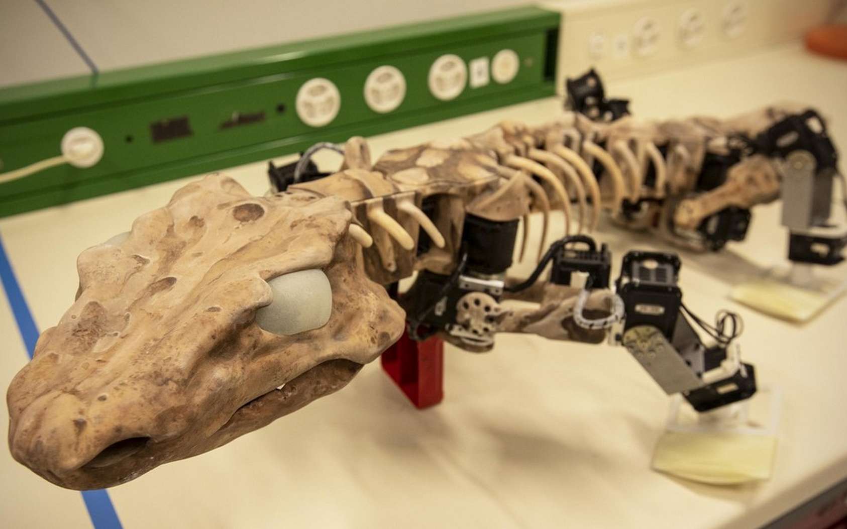 Un robot redonne vie à ce lézard géant fossilisé de 300 millions d'années