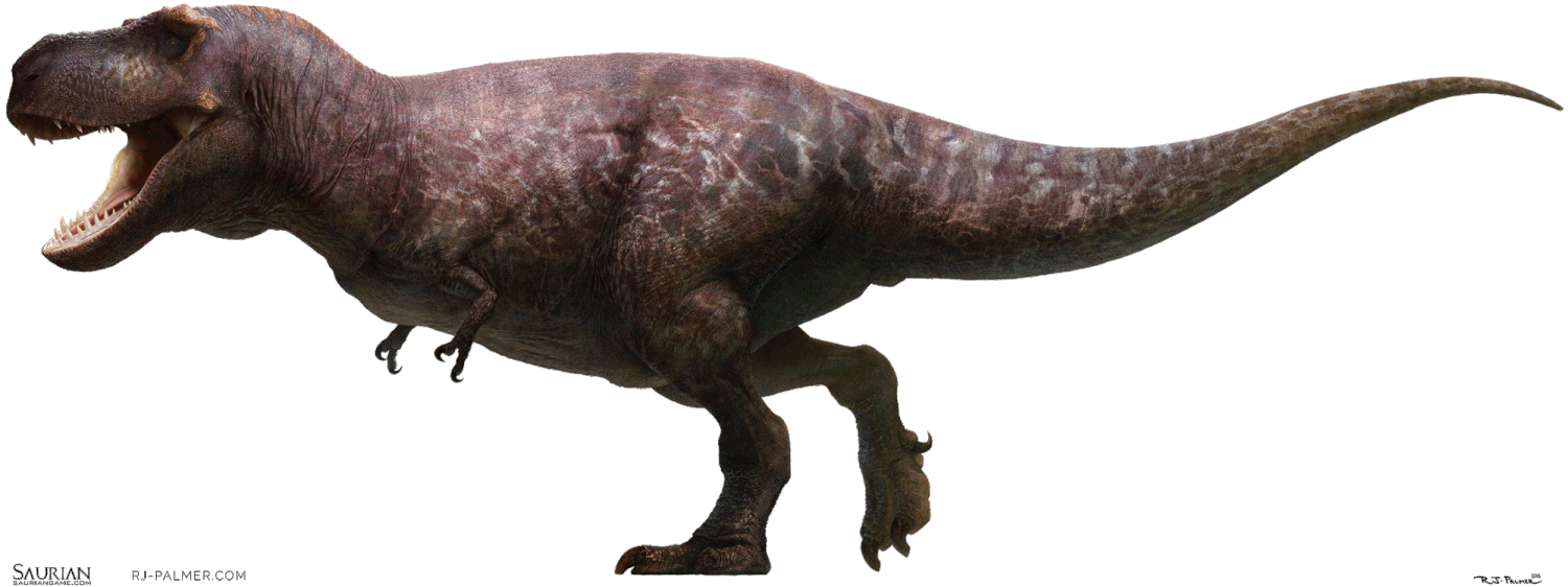 t-rex-representation-fidele